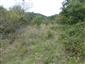 užovka hladká (9.8.2014)